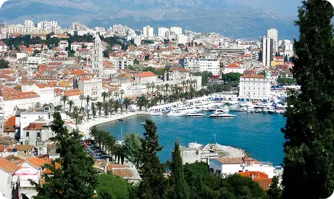 Split - grad